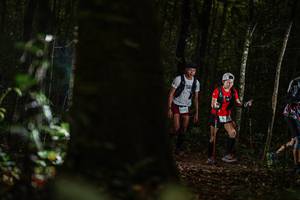 BIB: 40009
                            <button type="button" onclick="openModal(22589318)" class="btn btn-primary btn-sm float-right btn-popup" data-toggle="modal" data-target=".modal-high-quality">
                        <i class="fas fa-shopping-cart"></i> Add to Cart
                    </button>
                                            <button type="button" onclick="isThisMe(22589318, true)" class="btn btn-success btn-sm float-right btn-popup btn-isme hidden" data-toggle="tooltip" data-placement="bottom" title="นี่คือรูปของคุณใช่ไหม คลิกที่นี่เพื่อเอาเข้าอัลบั้ม">
                        <i class="fas fa-plus"></i> Add to album
                    </button>
                    <button type="button" onclick="isThisMe(22589318, false)" class="btn btn-warning btn-sm float-right btn-popup btn-isnotme hidden">
                        <i class="fas fa-ban"></i> Remove from album
                    </button>